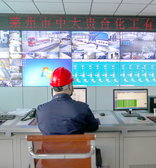 莱州市中大化工有限公司